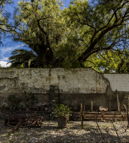 img-galeria-jardin2