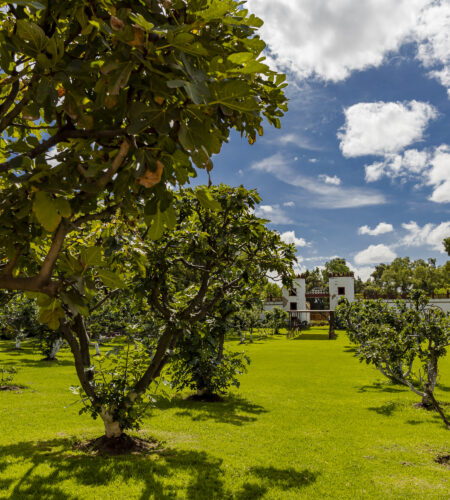 img-galeria-jardinexterior