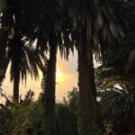 img-jardines9-ranchodeguadalupe